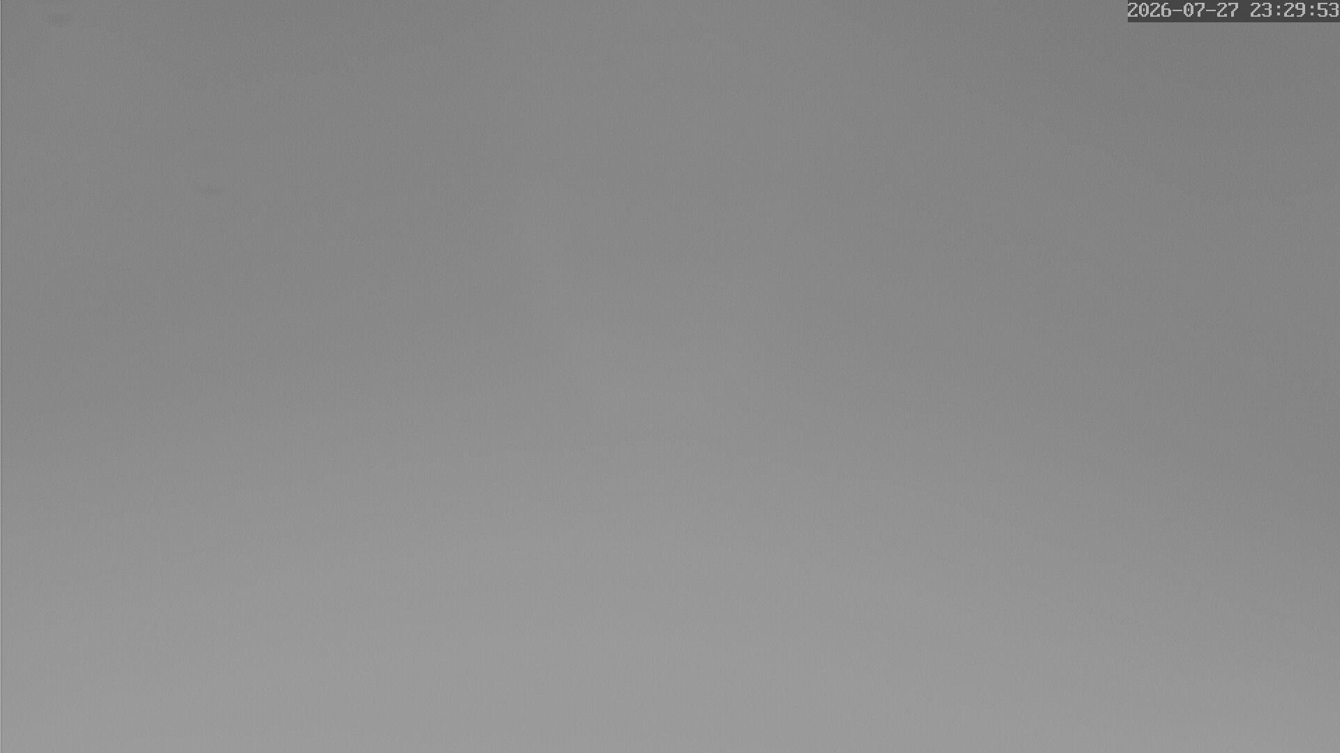 Turmstorch Livecam